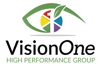 VisionOne